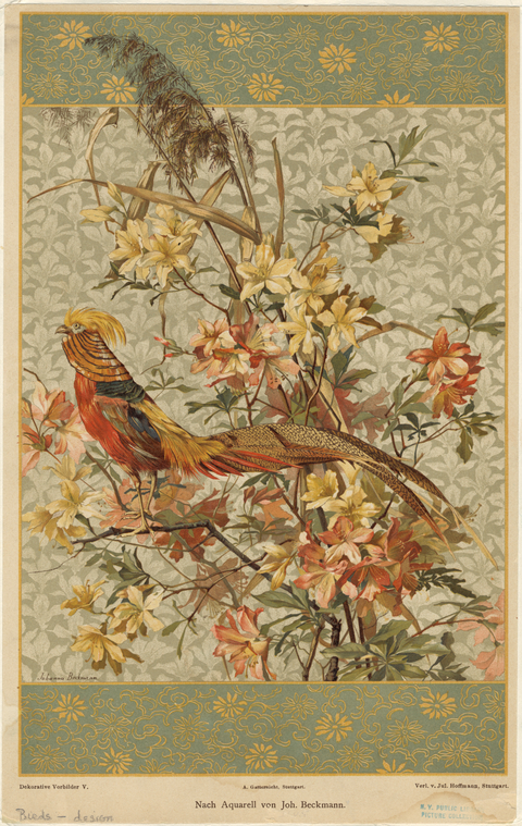 Image ID 820496

