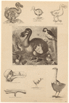 Image ID 820503