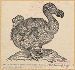 Image ID 820504