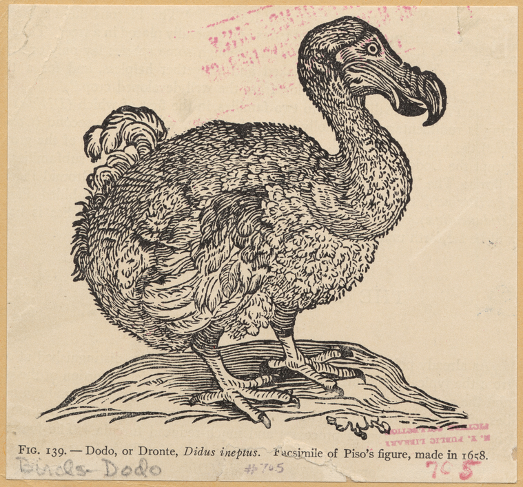 Image ID 820504

