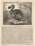 Image ID 820507