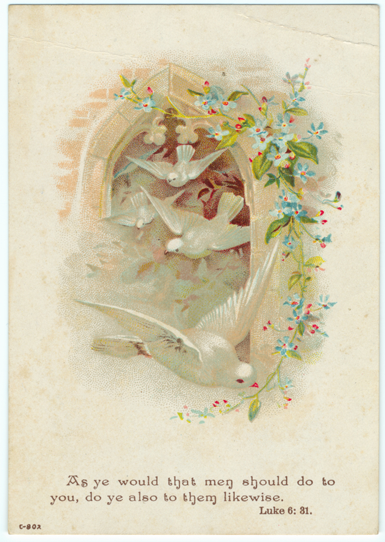 Image ID 820511
