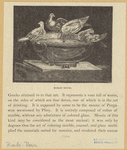 Image ID 820513