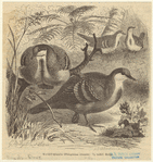 Image ID 820516