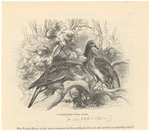 Image ID 820517