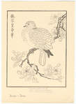 Image ID 820519