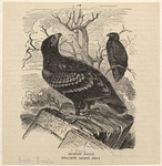 Image ID 820524