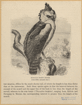 Image ID 820529
