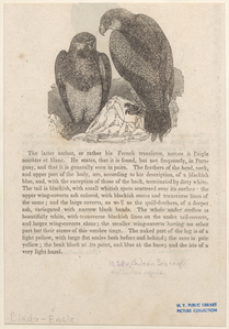 Image ID 820541
