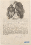 Image ID 820541