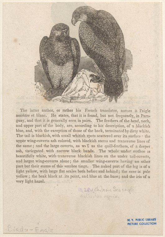 Image ID 820541
