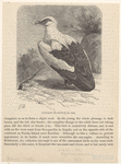 Image ID 820542