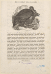 Image ID 820543