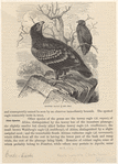 Image ID 820544