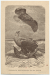 Image ID 820547