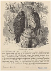 Image ID 820548