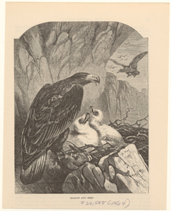 Image ID 820549