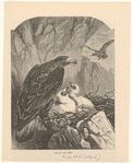Image ID 820549