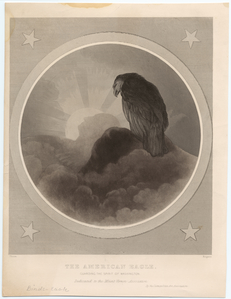 Image ID 820552
