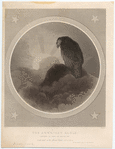 Image ID 820552