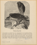 Image ID 820553