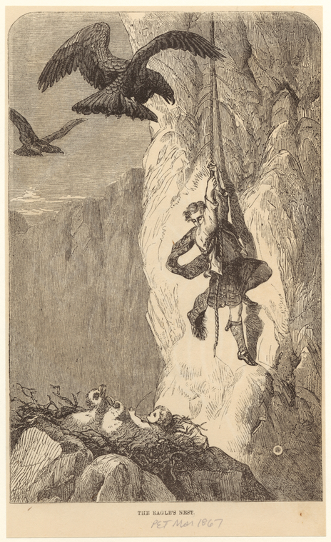 Image ID 820554

