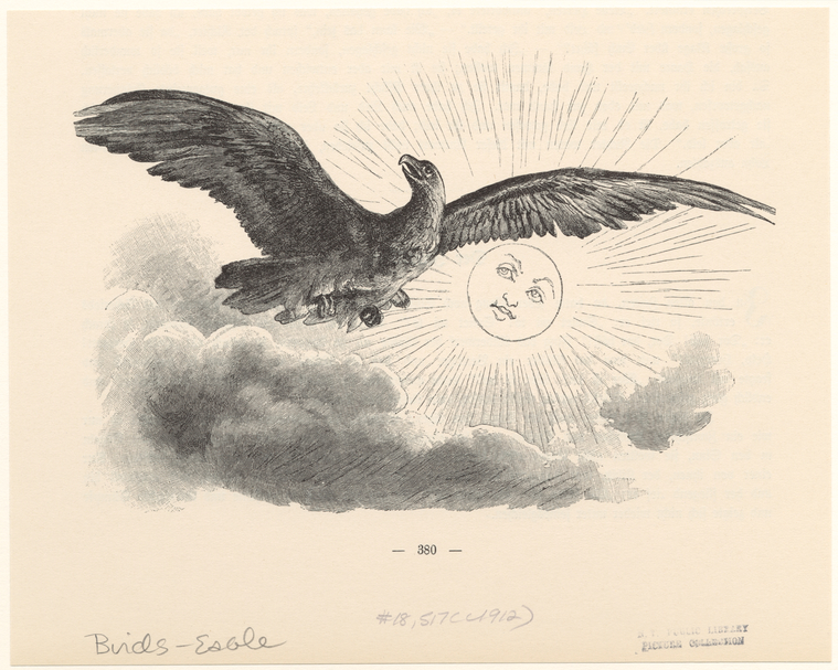 Image ID 820556
