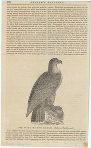 Image ID 820561