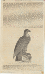 Image ID 820561