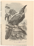 Image ID 820573