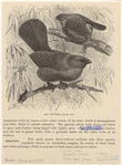 Image ID 820574