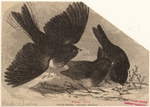 Image ID 820578