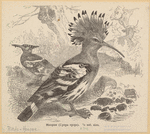 Image ID 820579