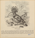 Image ID 820581