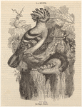 Image ID 820583