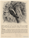 Image ID 820585