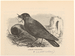 Image ID 820590