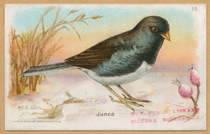 Image ID 820591