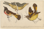 Image ID 820594