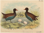 Image ID 820595