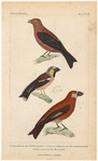 Image ID 820599