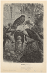 Image ID 820604