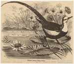 Image ID 820605