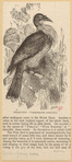 Image ID 820606