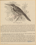 Image ID 820607