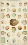 Image ID 820619