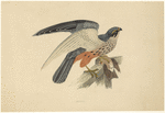 Image ID 820637