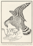 Image ID 820638