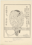 Image ID 820640