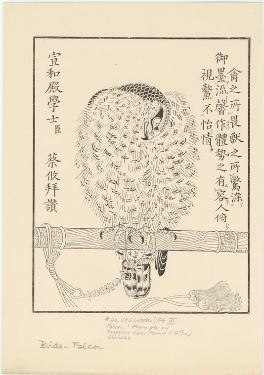 Image ID 820640
